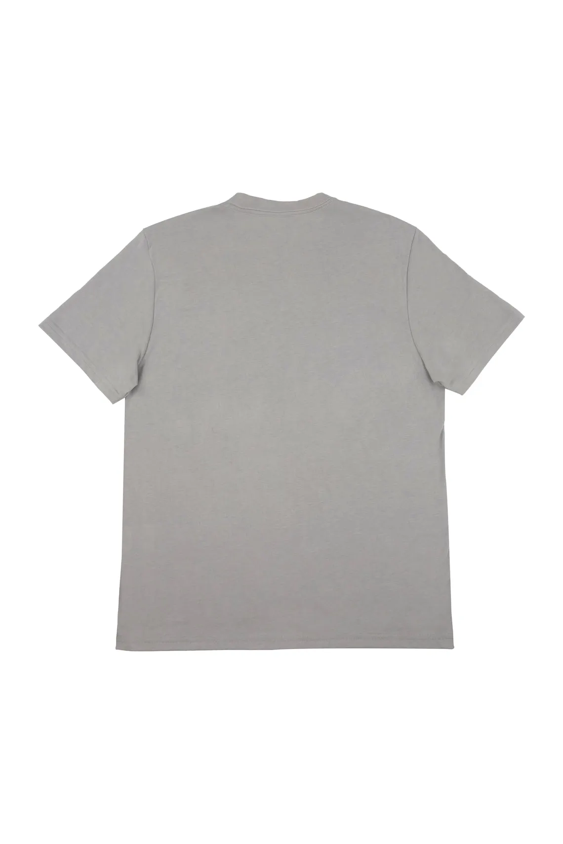 Men's Gray Printed T-Shirt